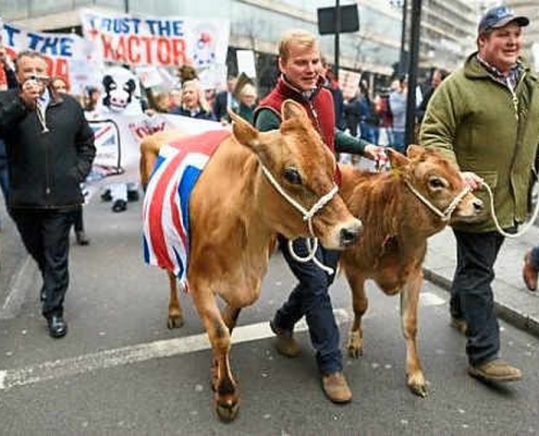 Stakeholder communications helps farmers march on London